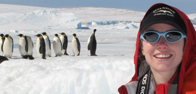 Polar researcher Heather Lynch with emperor penquins