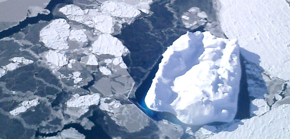 Nila blended into snow-covered sea ice, Anthony Petty, NSIDC